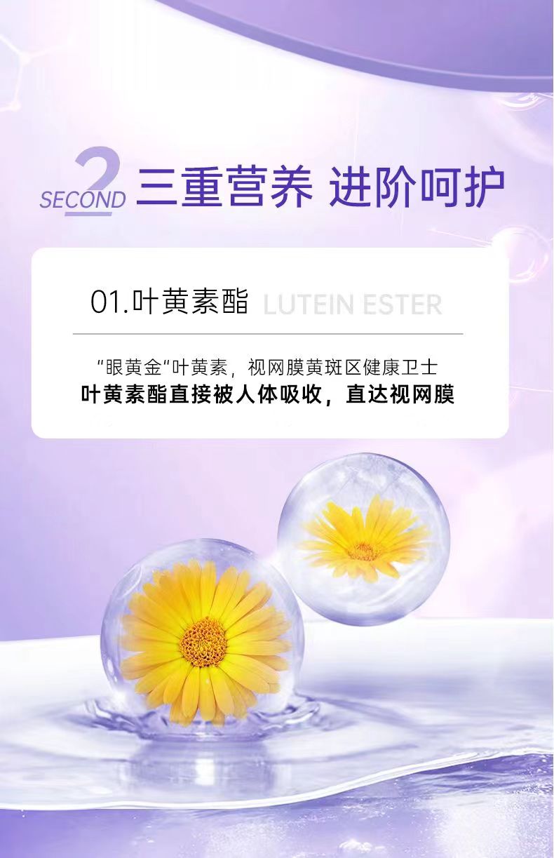 莫利西芬5.jpg